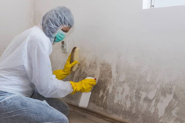 Best Emergency Mold Removal  in Troy Hills, NJ