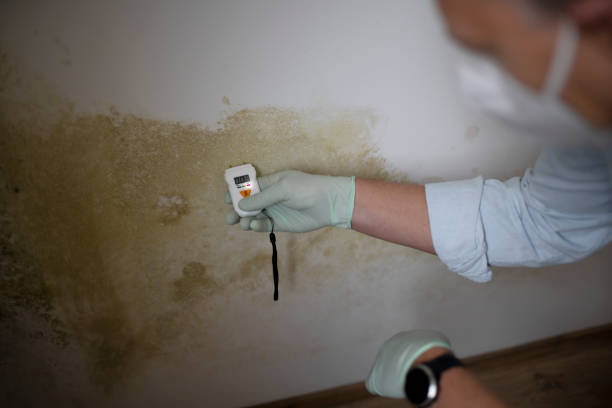 Best Office Mold Removal Services  in Troy Hills, NJ